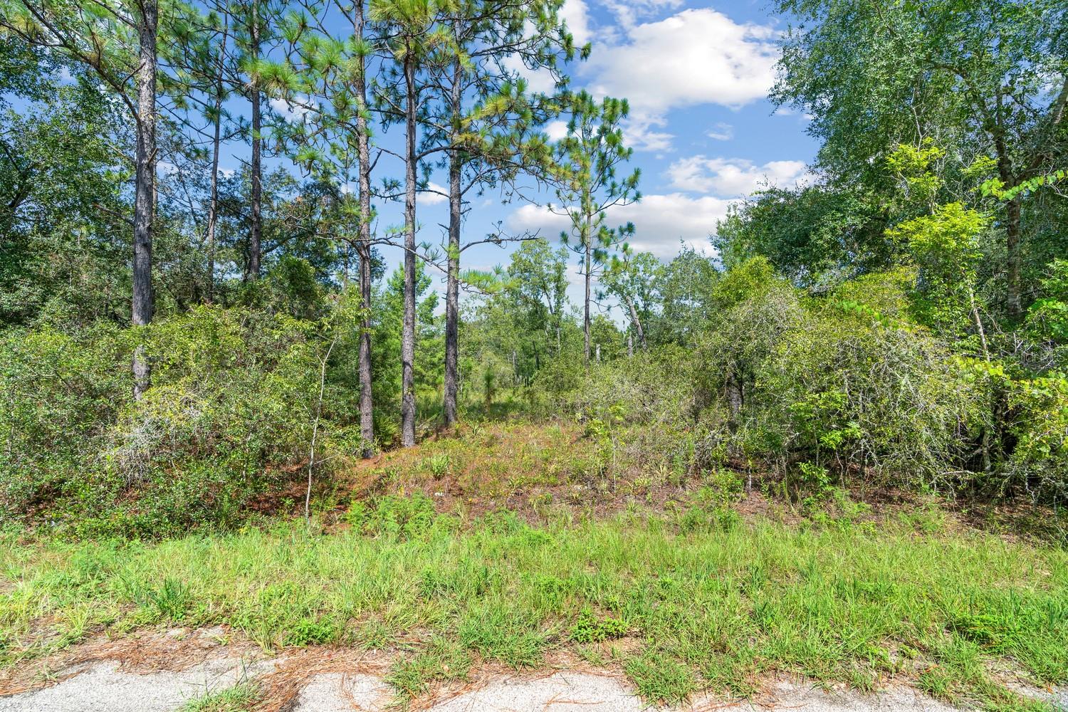 0024 Guava Pass Dr Property Photo 18