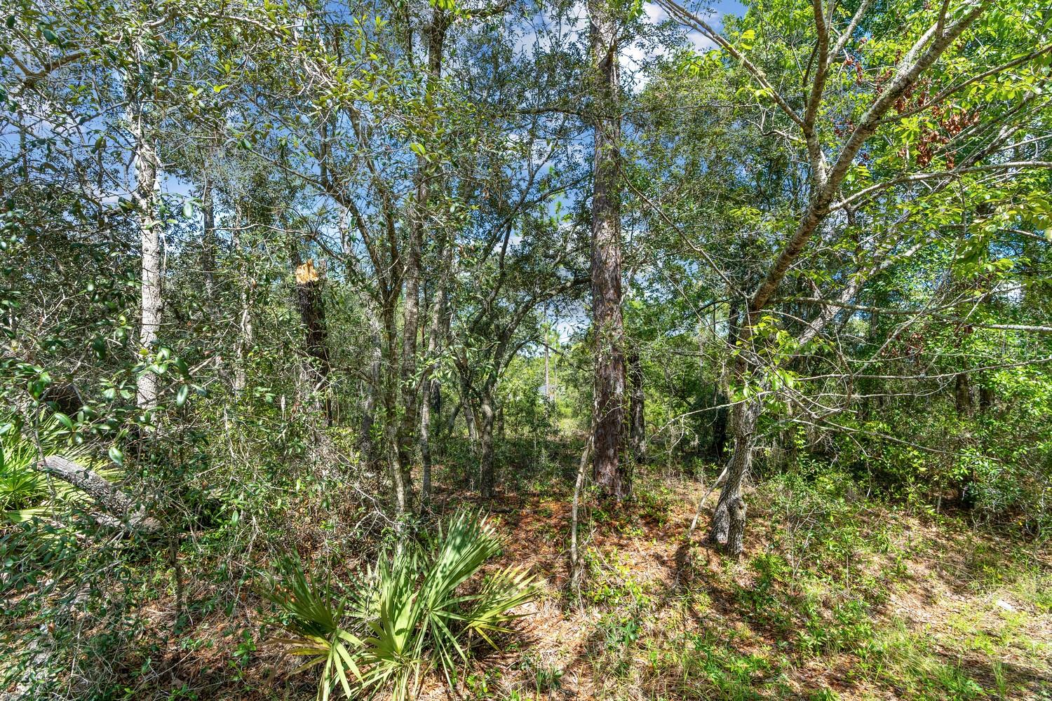 0024 Guava Pass Dr Property Photo 19