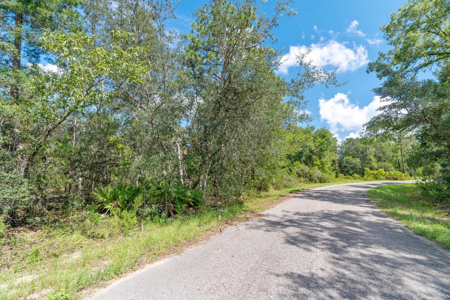 0024 Guava Pass Dr Property Photo 22