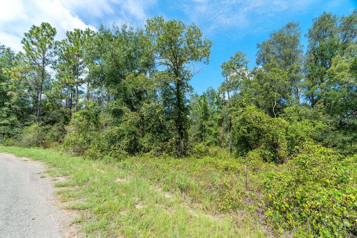 0024 Guava Pass Dr Property Photo 23