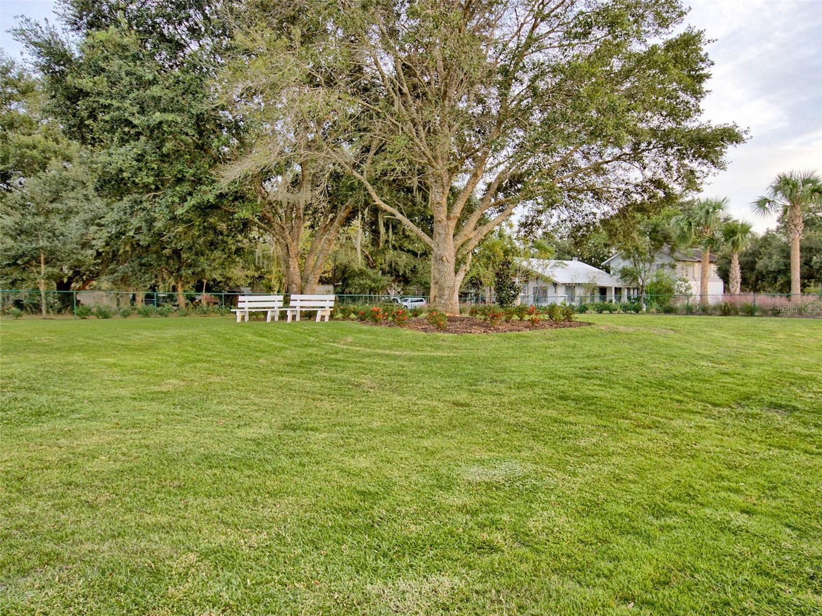 341 Conch Key Ln Property Photo 51