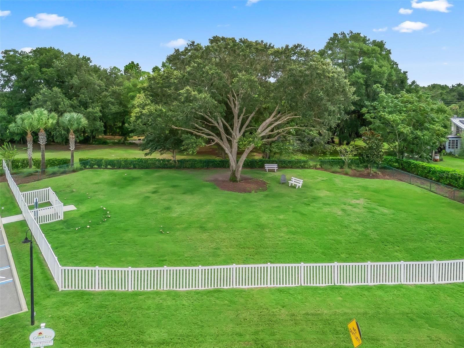 341 Conch Key Ln Property Photo 52
