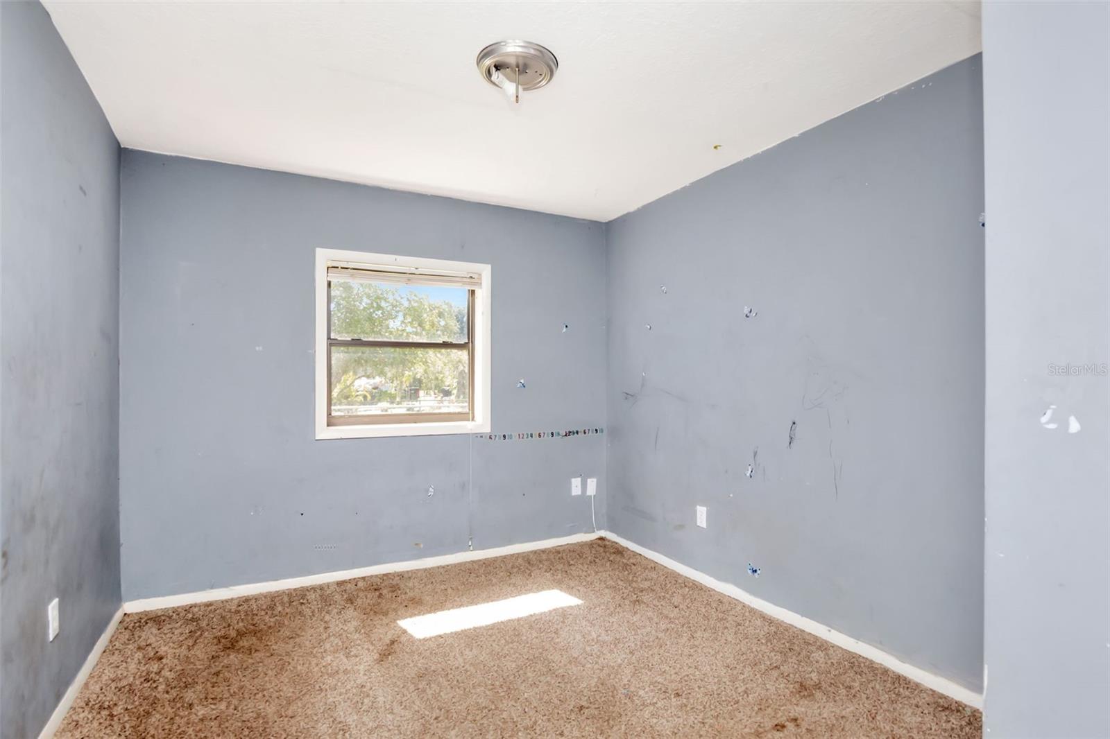 1009 Mercer Loop Property Photo 14
