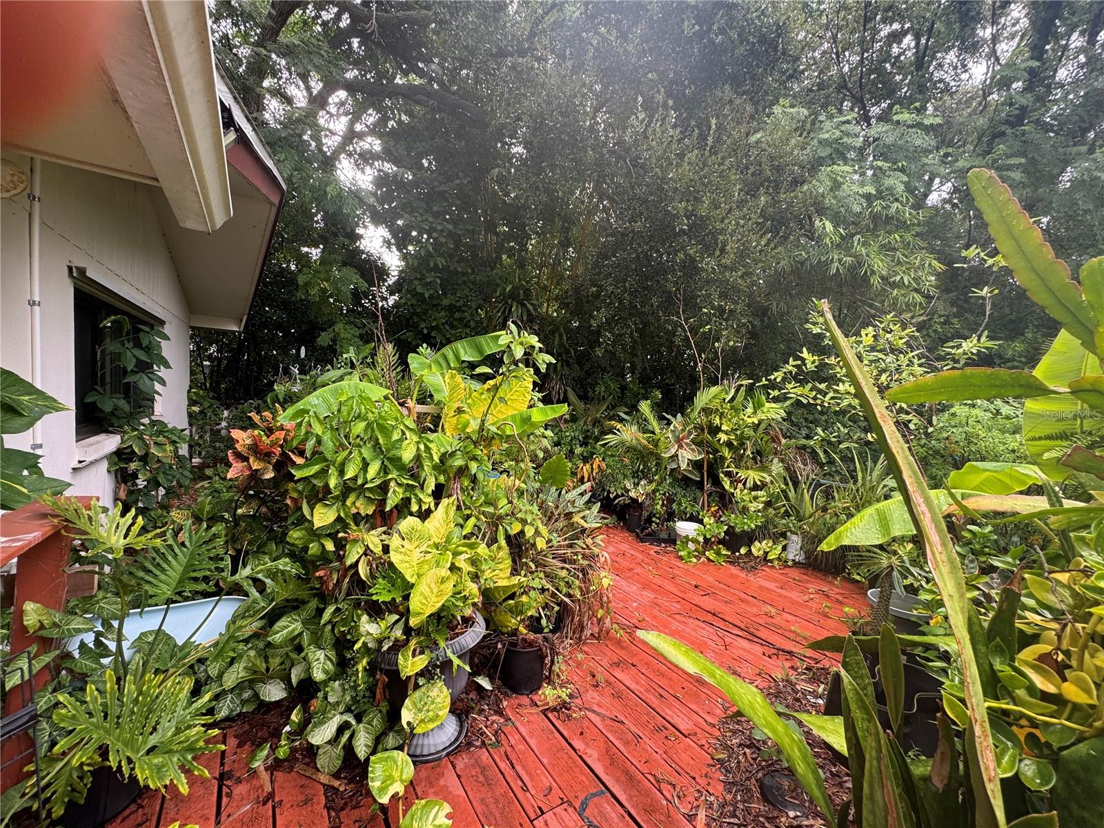 1680 Sunset Point Rd Property Photo 19