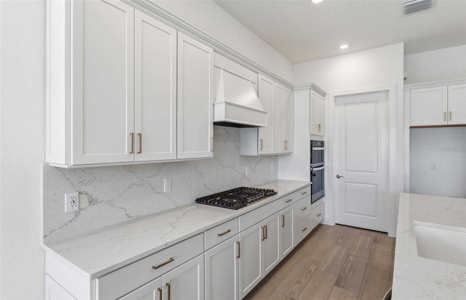 16694 Harvest Leaf Rd Property Photo 3
