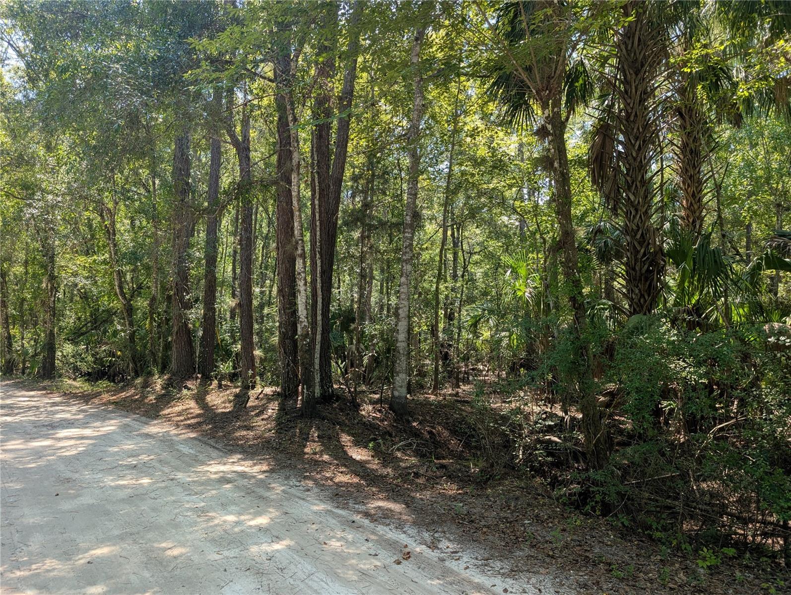 6252 E River Rd Property Photo 1