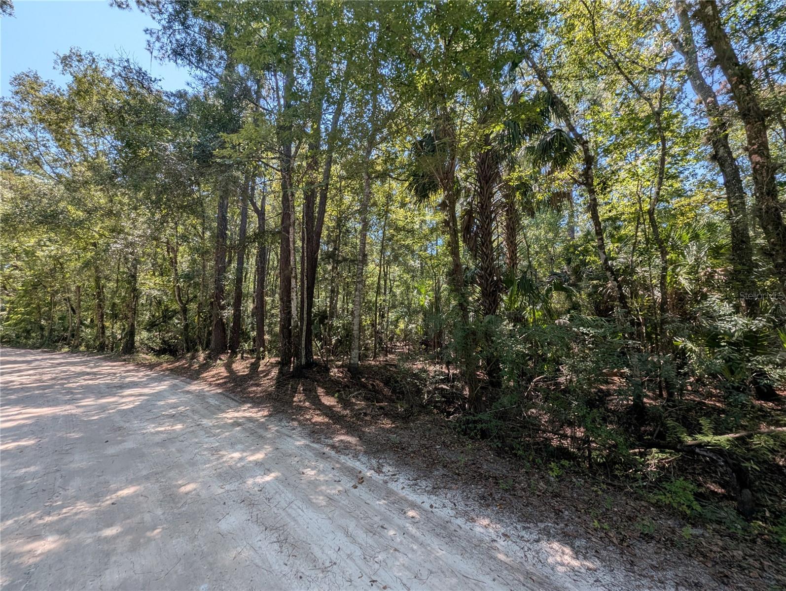 6252 E River Rd Property Photo 2