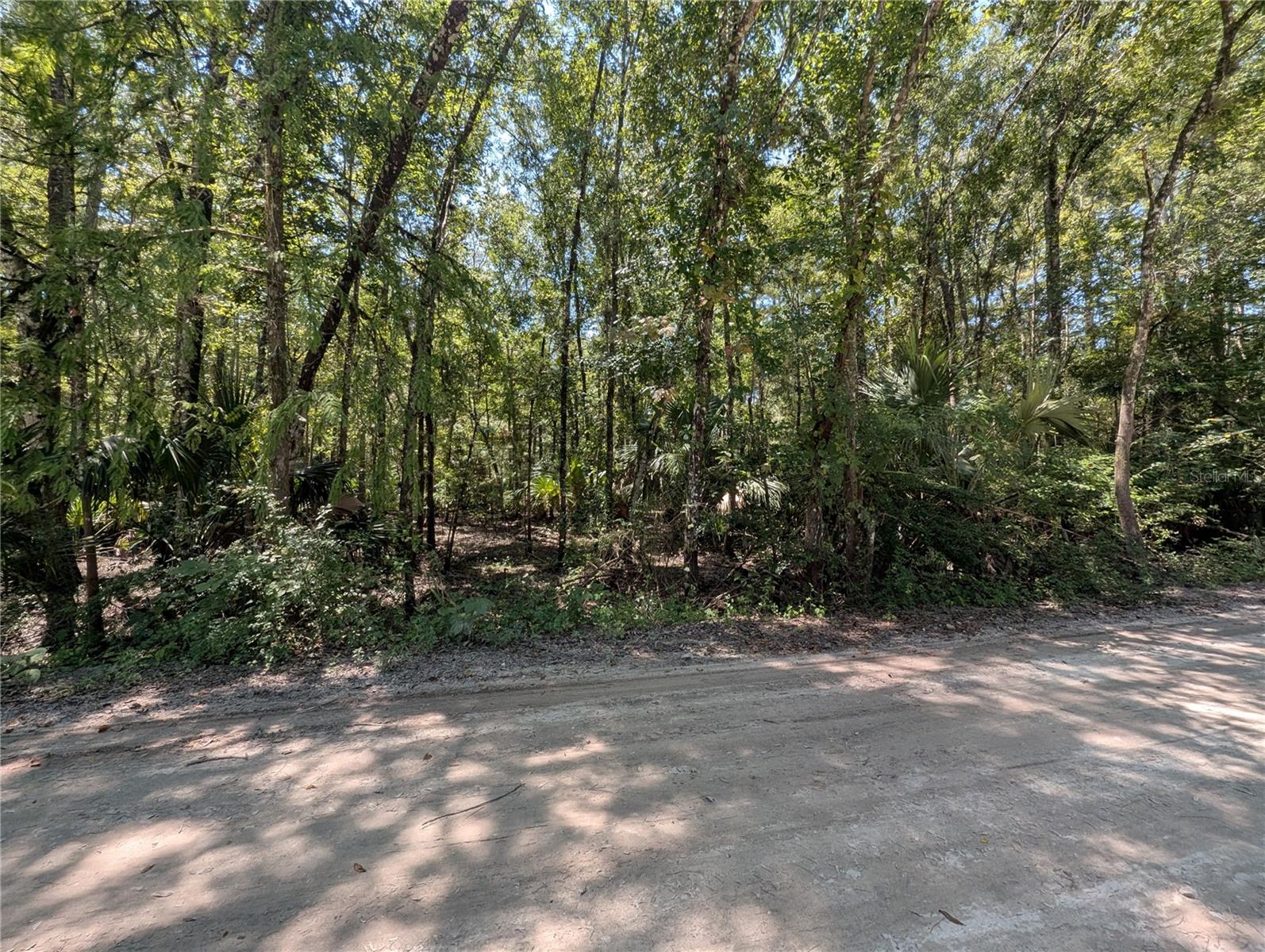 6252 E River Rd Property Photo 3