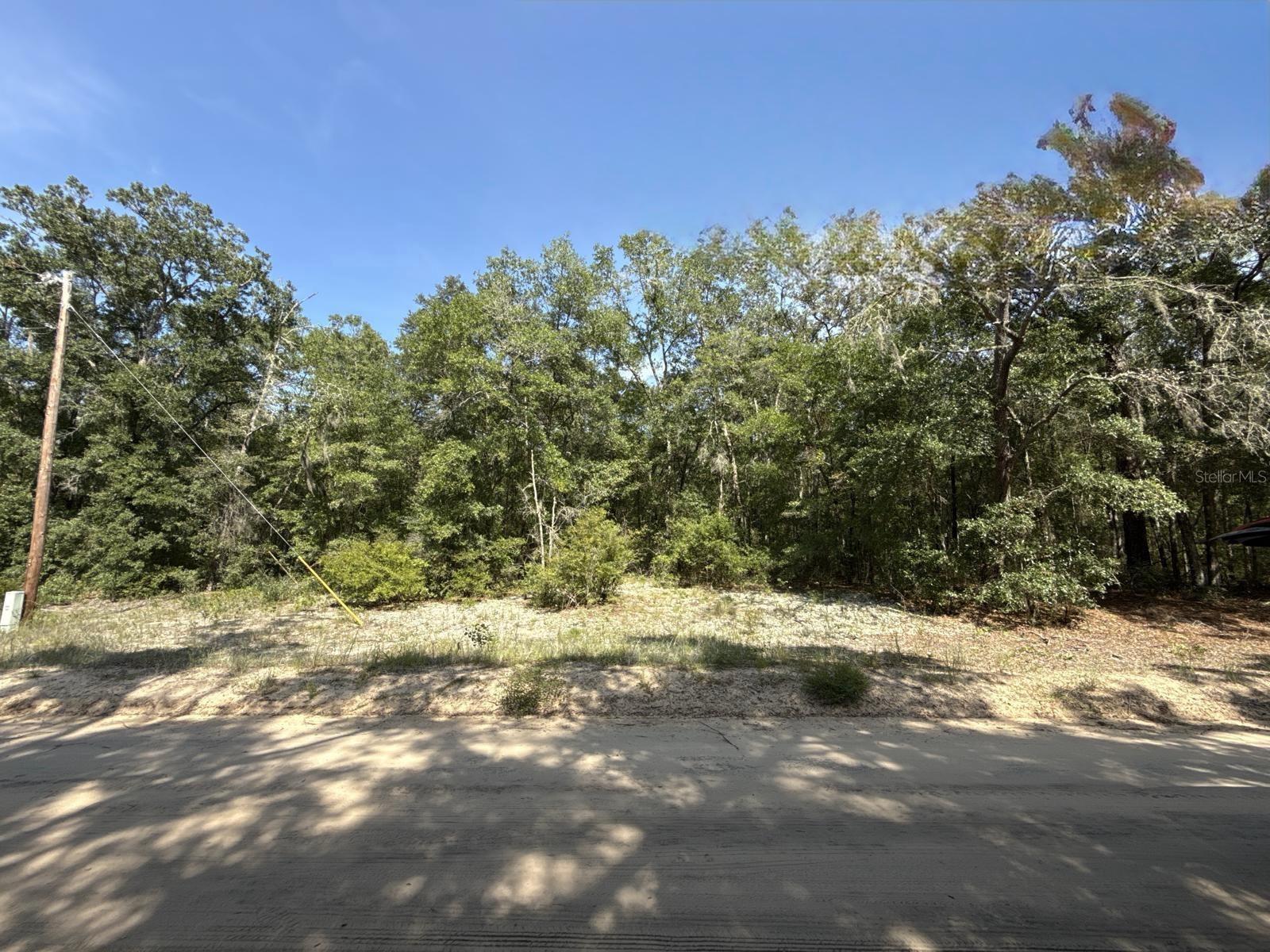 GLORIA AVE Property Photo 1