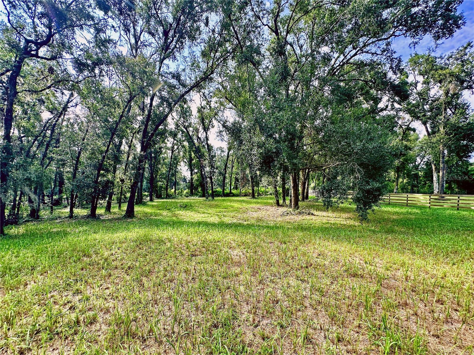 35174 Roth Ln Property Photo 6