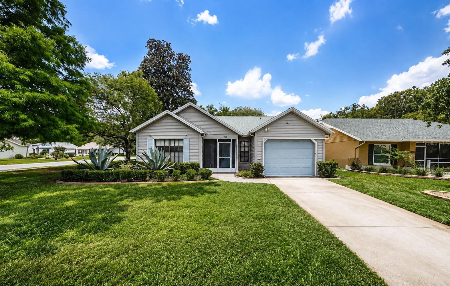 11805 LOBLOLLY PINE DR