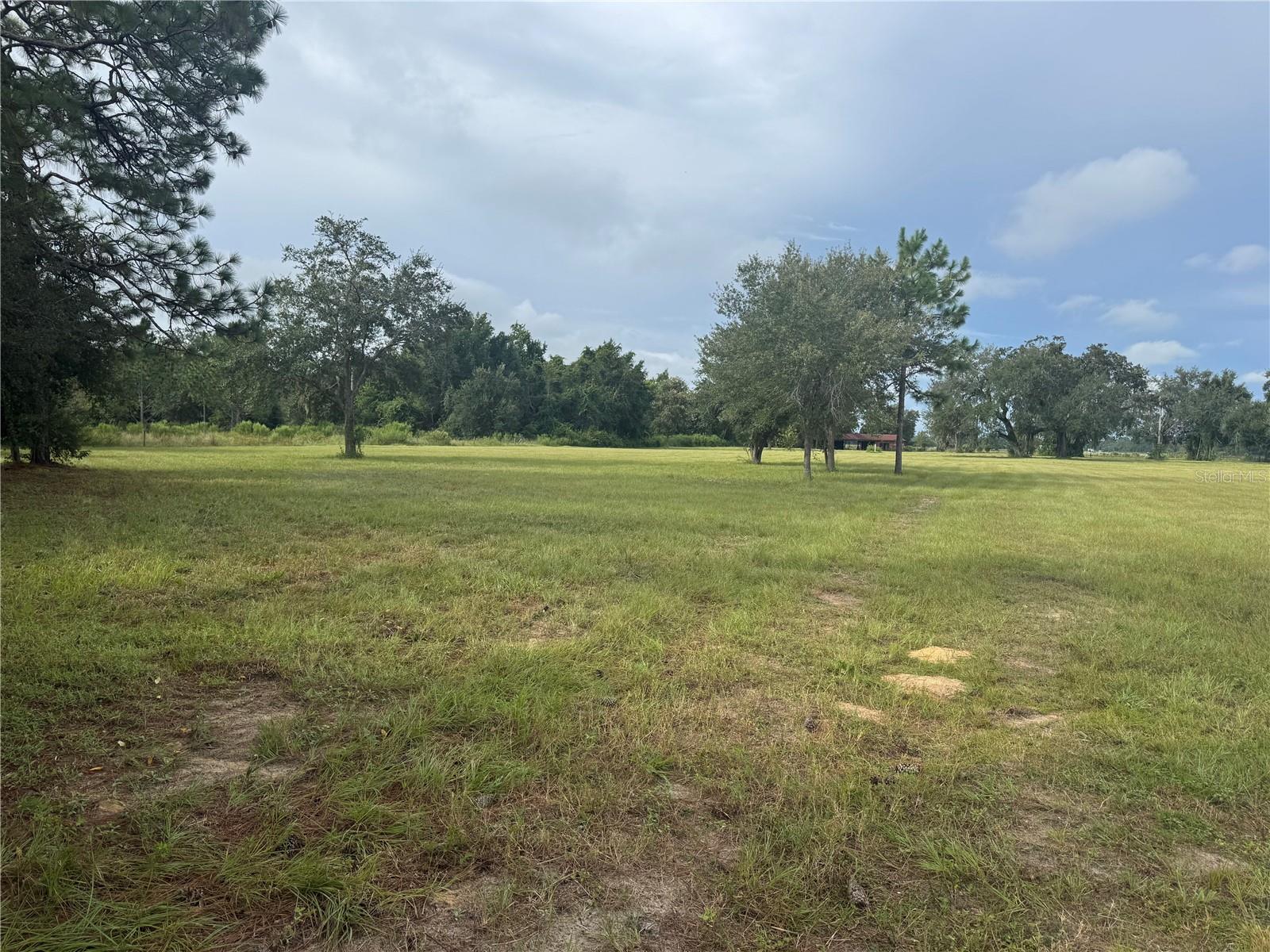 17349 Forge Dr Property Photo 3