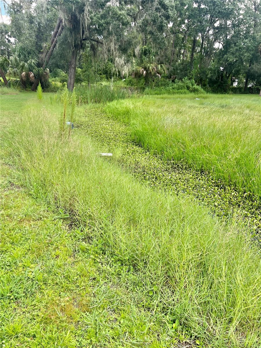 2903 Williams Blvd Property Photo 22