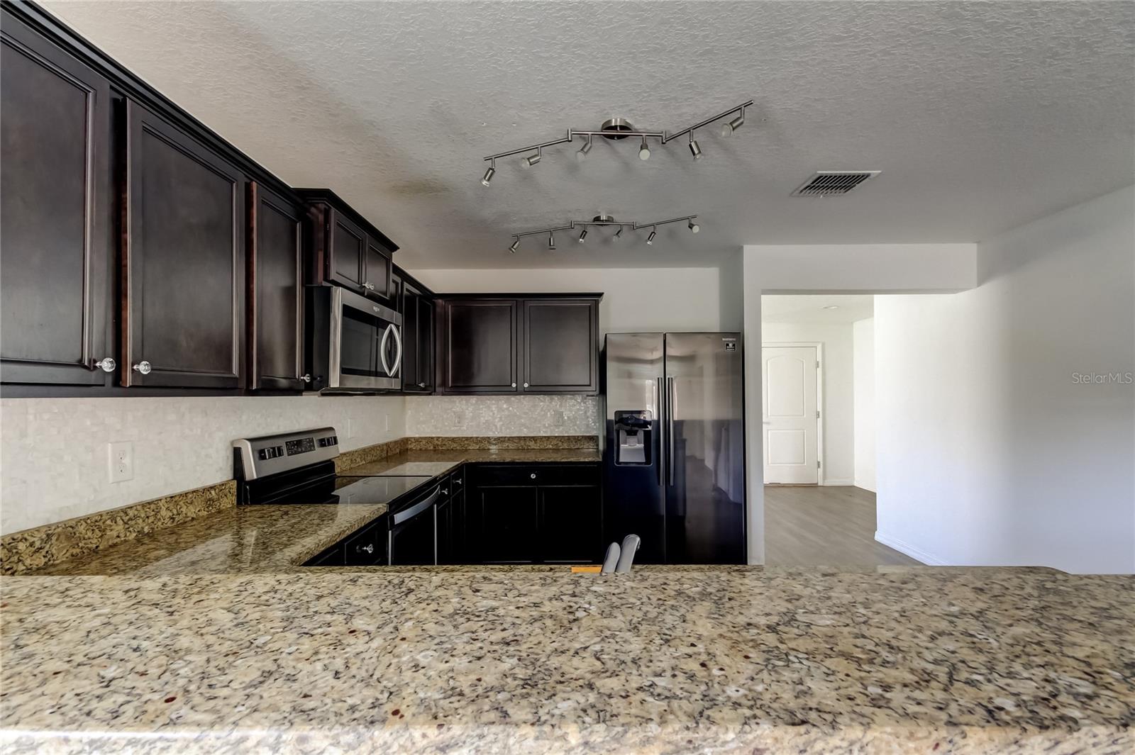 1739 Chatham Green Cir Property Photo 14