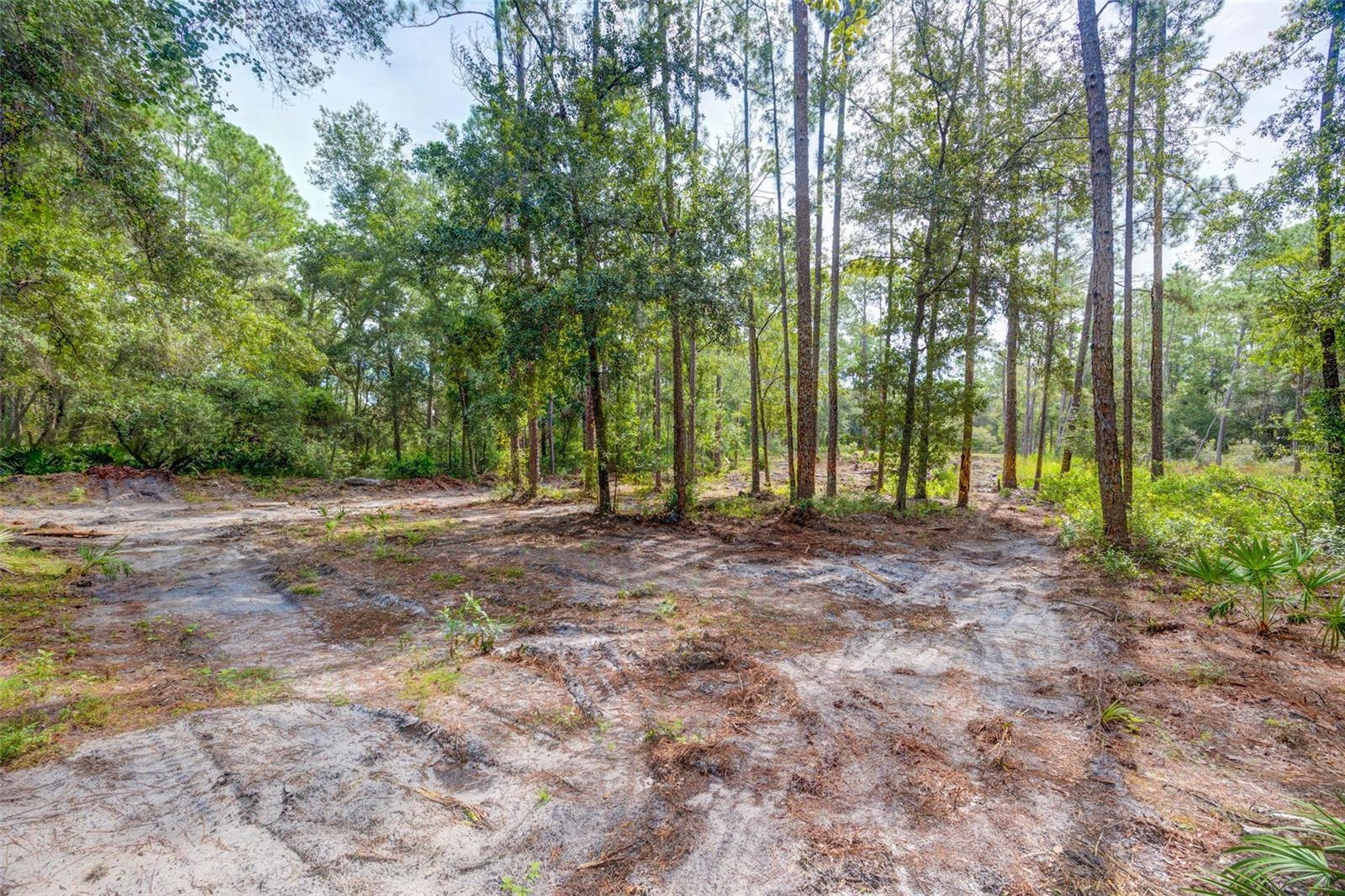 34389 GRINDSTONE DR Property Photo 1