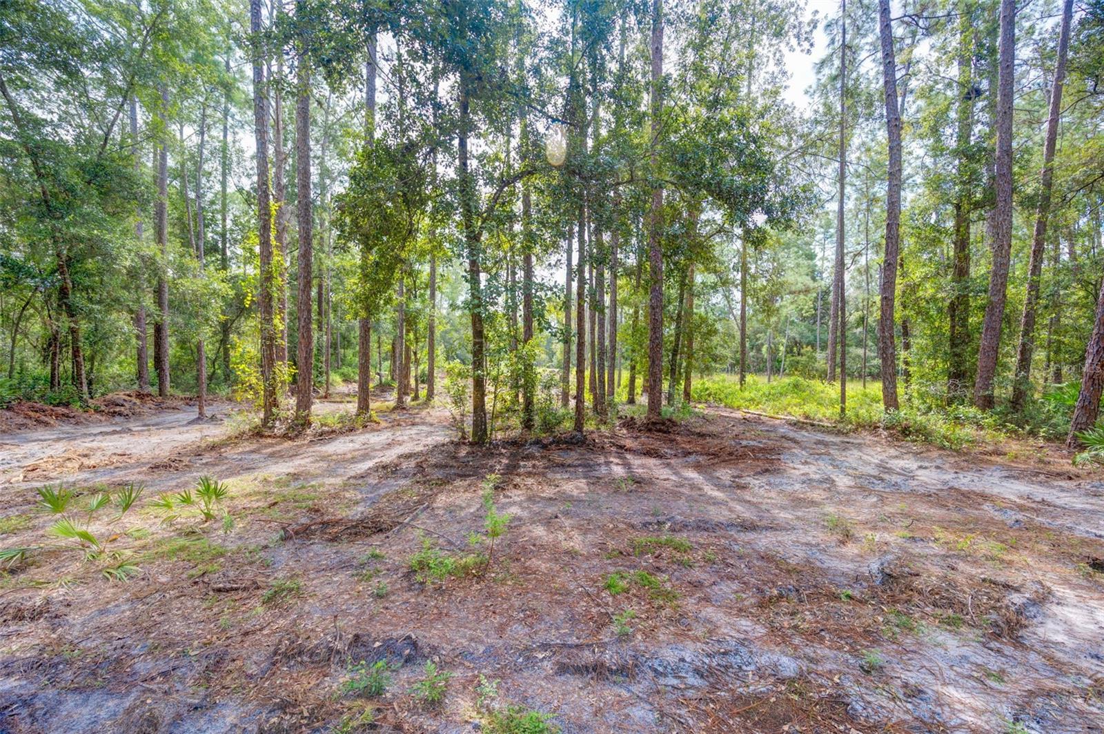 34389 Grindstone Dr Property Photo 2