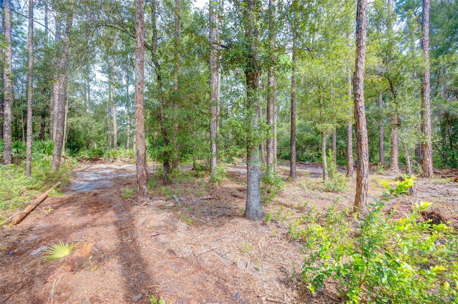 34389 Grindstone Dr Property Photo 3