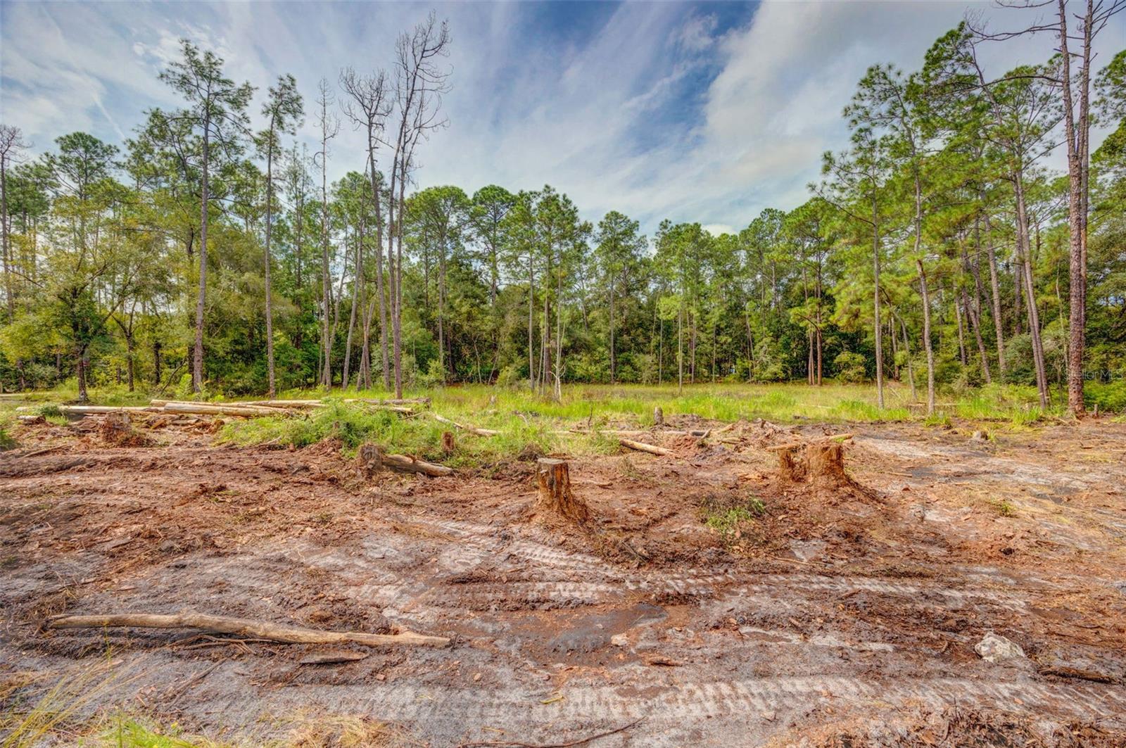34389 Grindstone Dr Property Photo 6