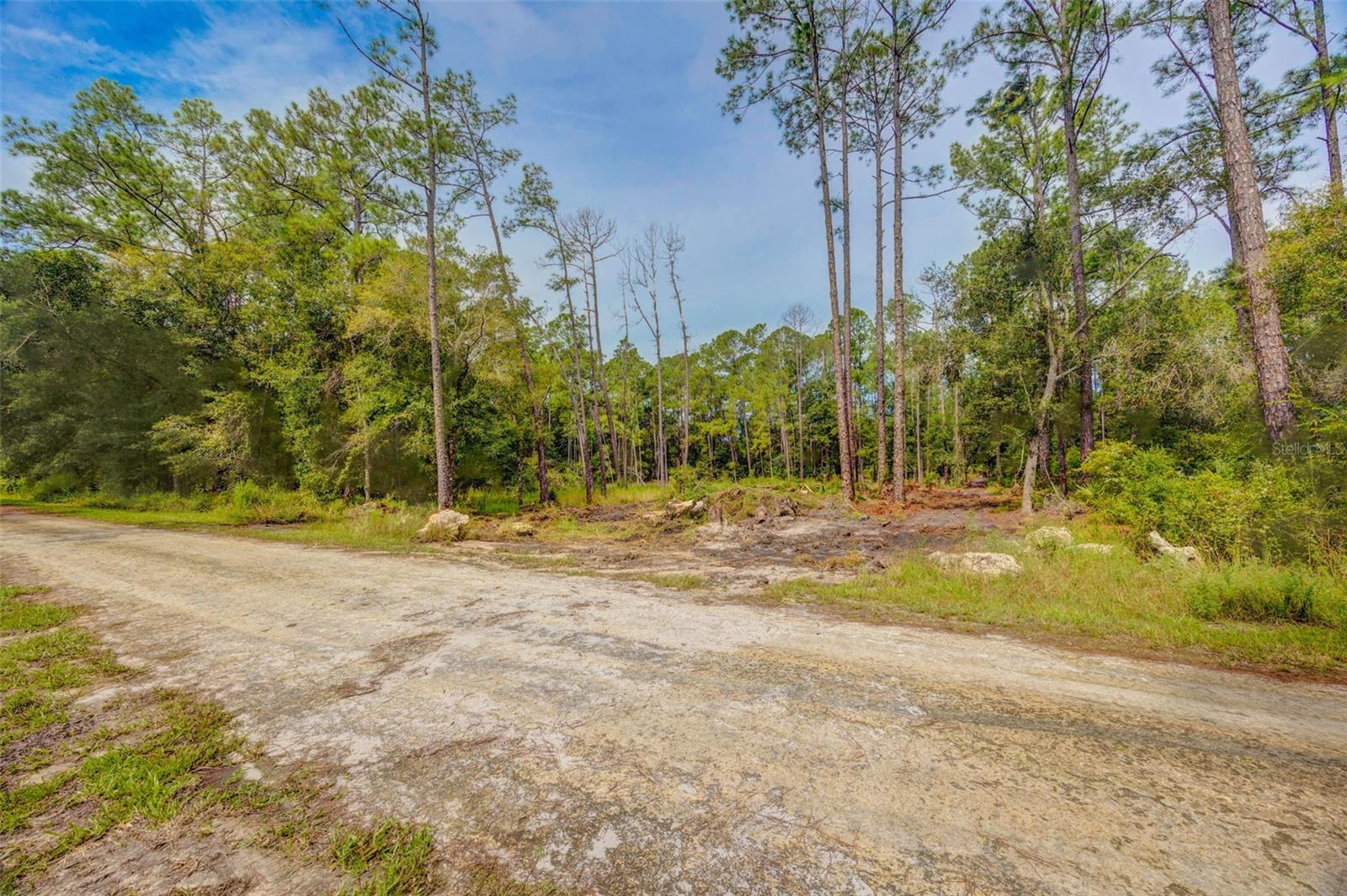 34389 Grindstone Dr Property Photo 10