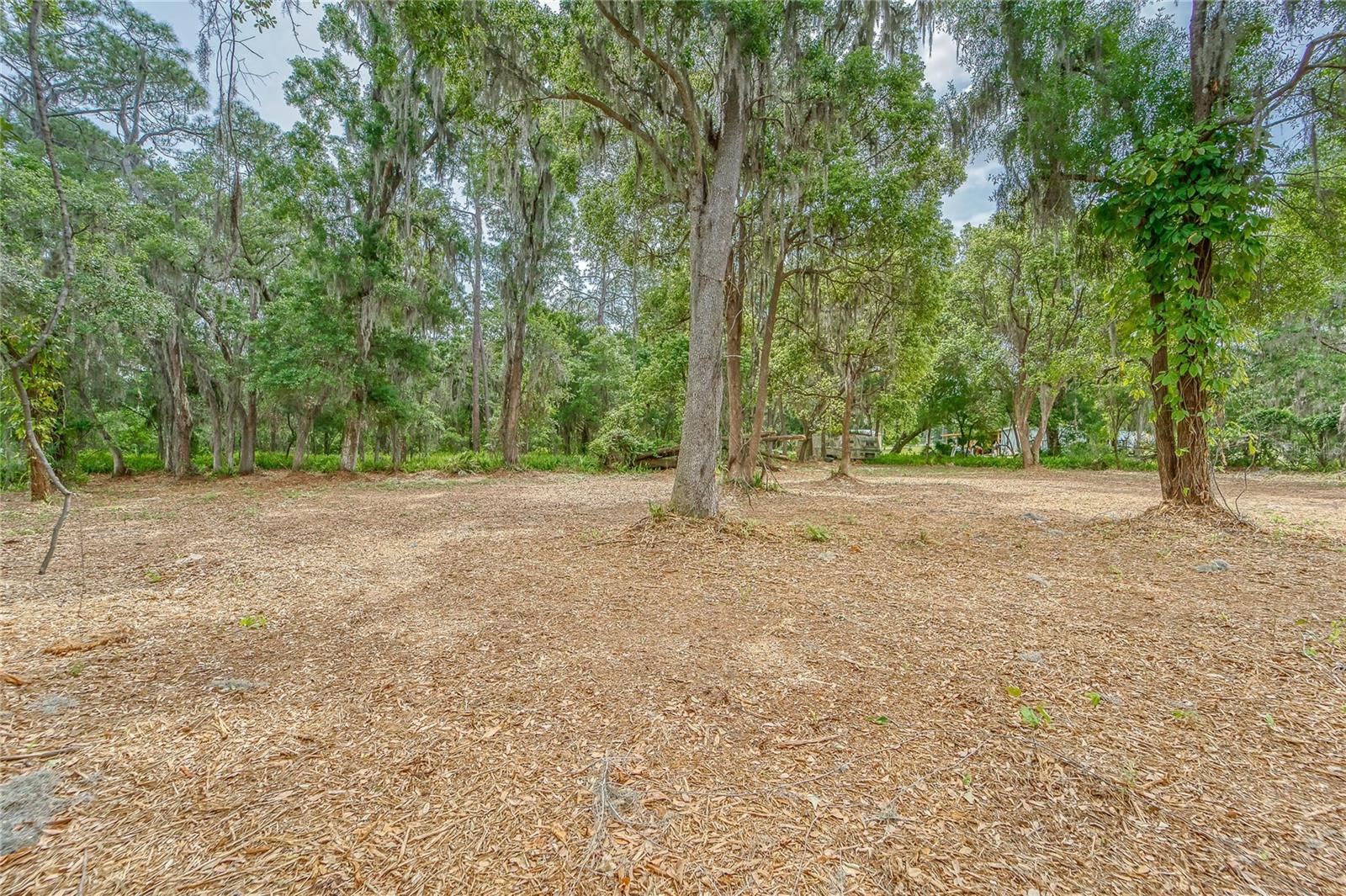 Turkey Creek Property Photo 5