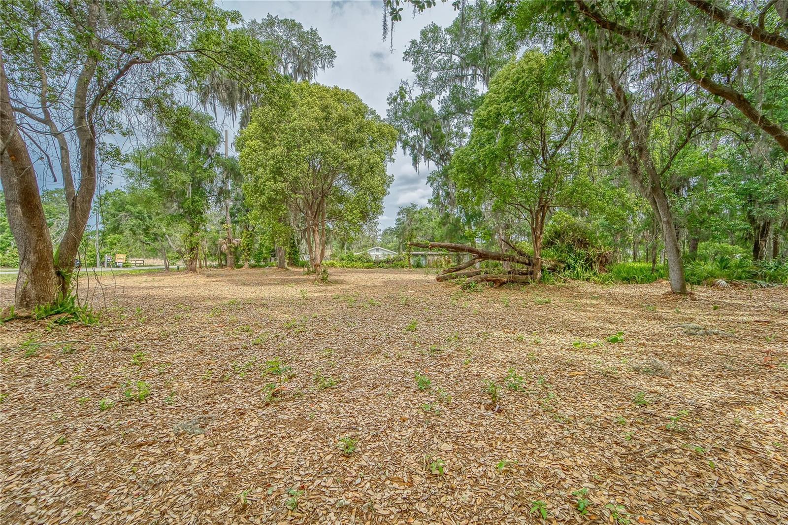 Turkey Creek Property Photo 8