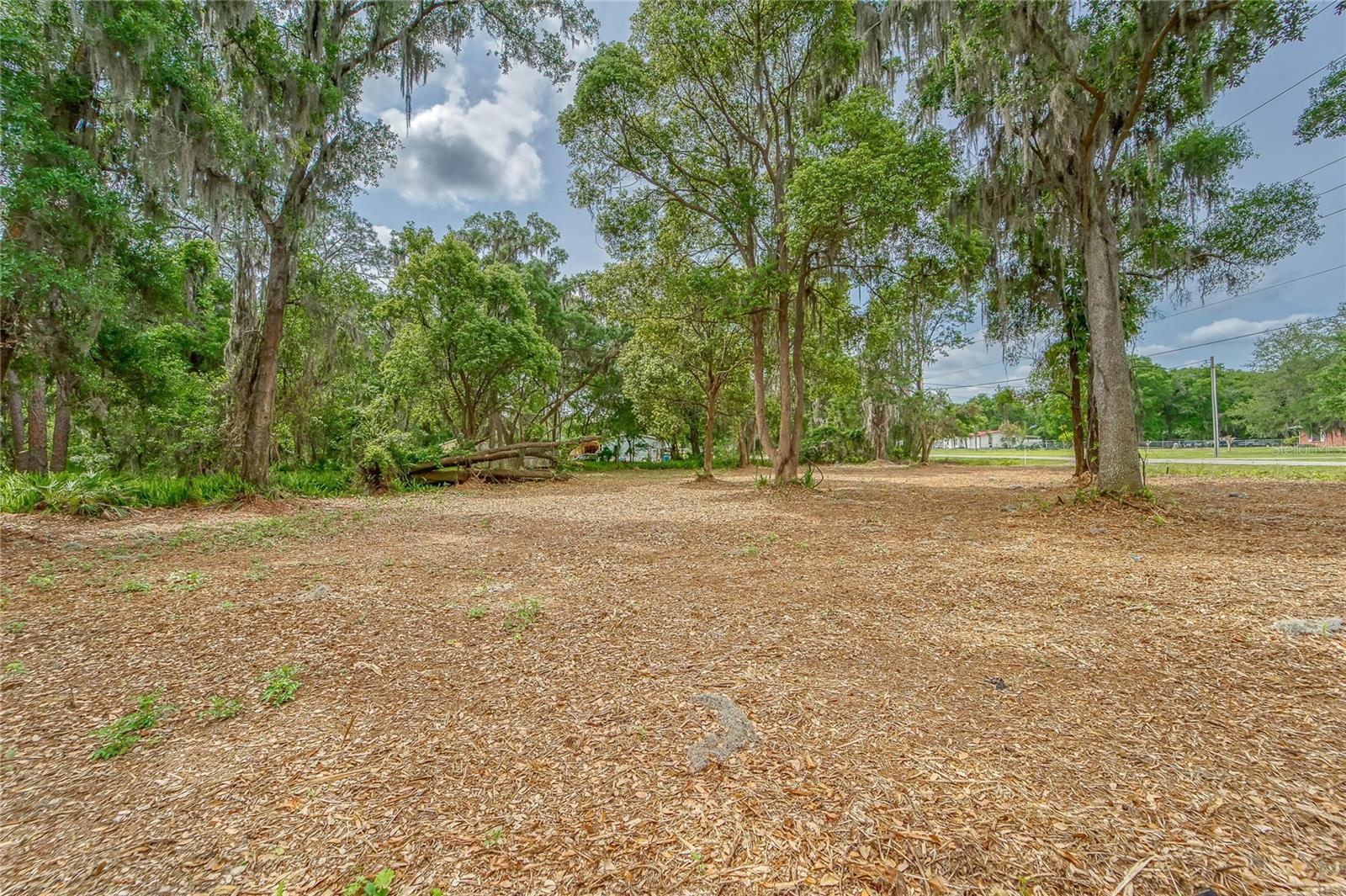 Turkey Creek Property Photo 12