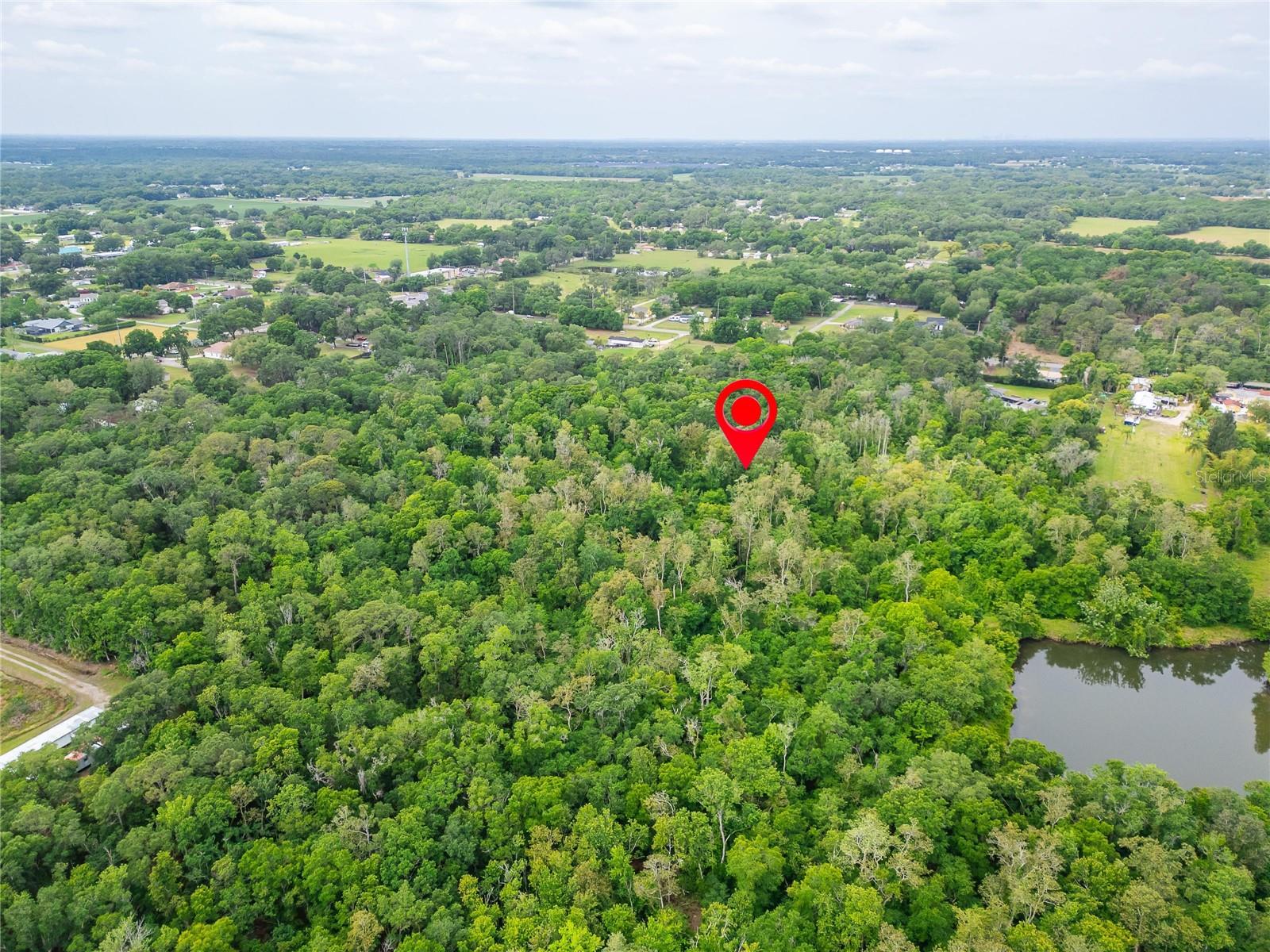 Turkey Creek Property Photo 13