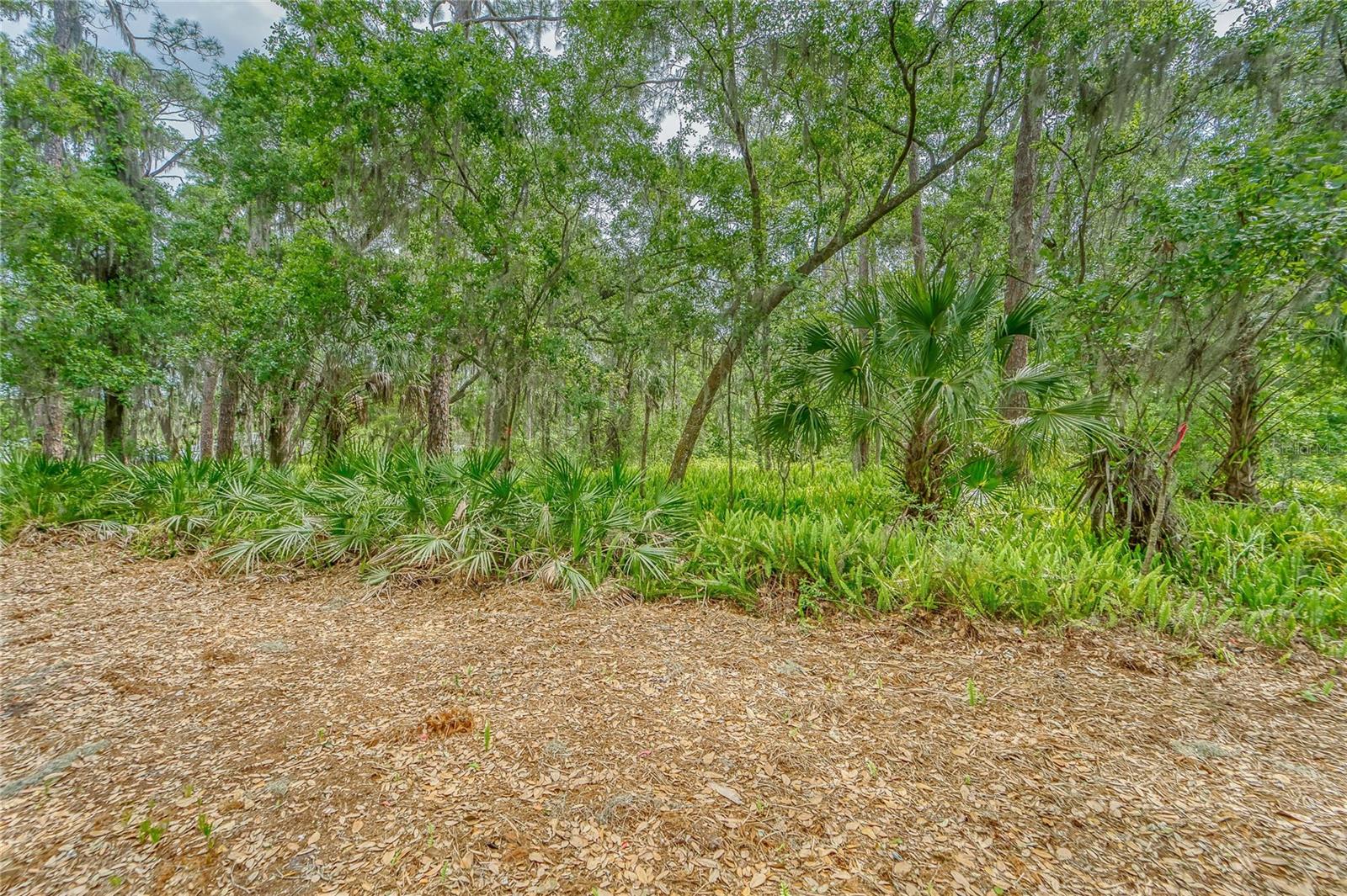 Turkey Creek Property Photo 14