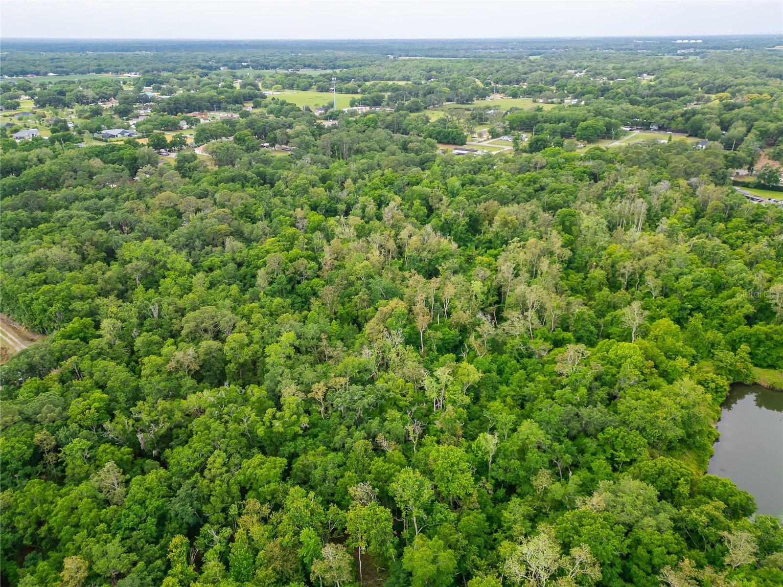 Turkey Creek Property Photo 19