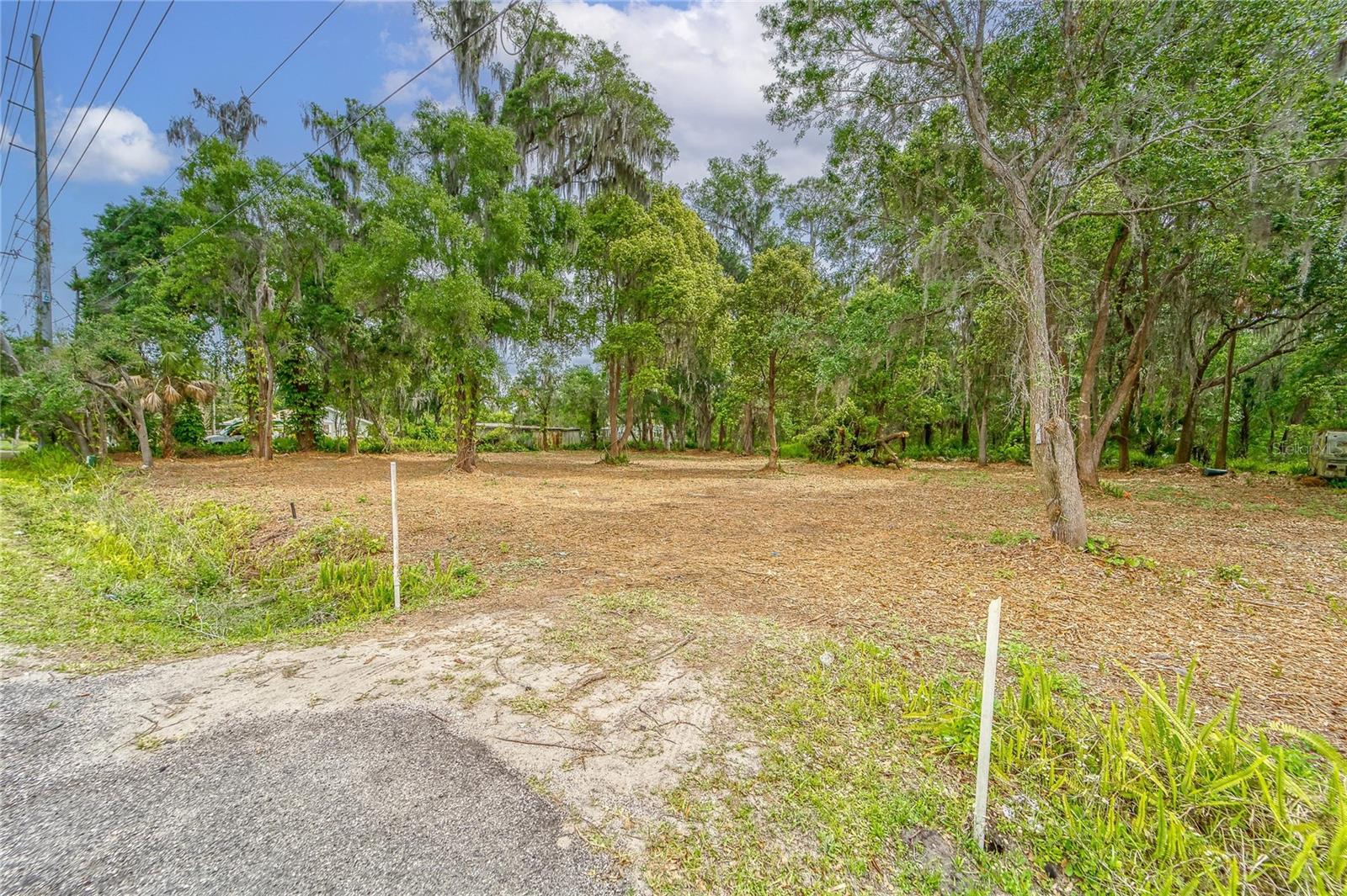 Turkey Creek Property Photo 20