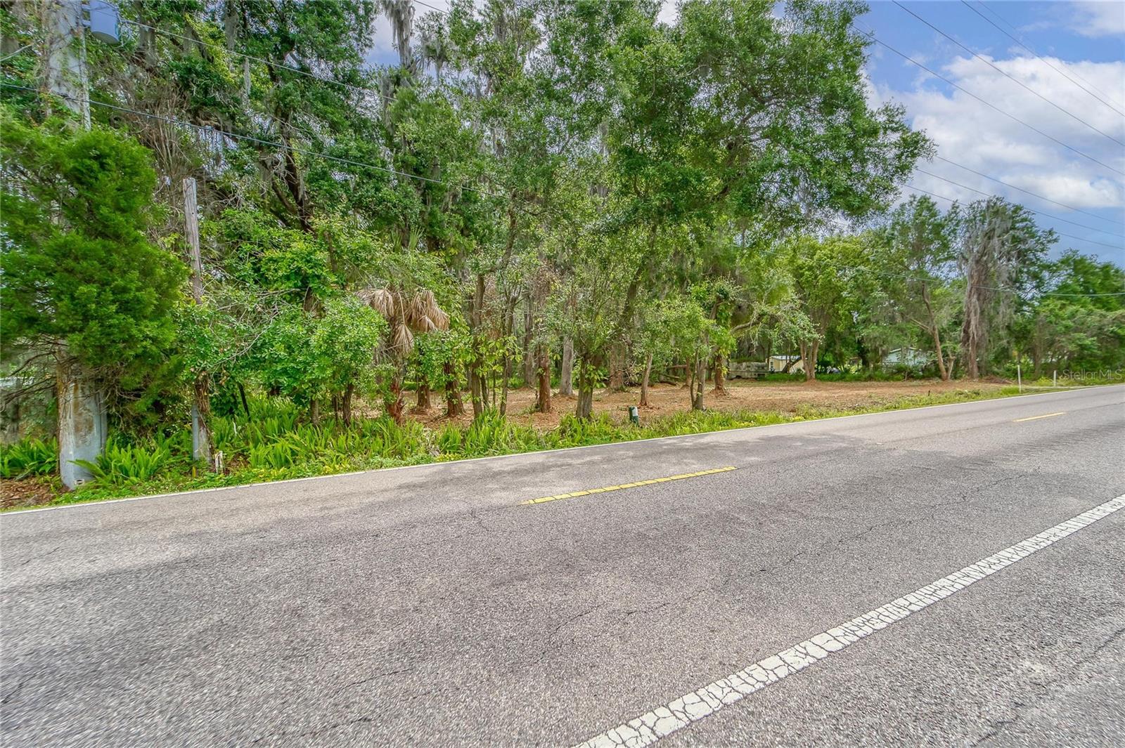 Turkey Creek Property Photo 23