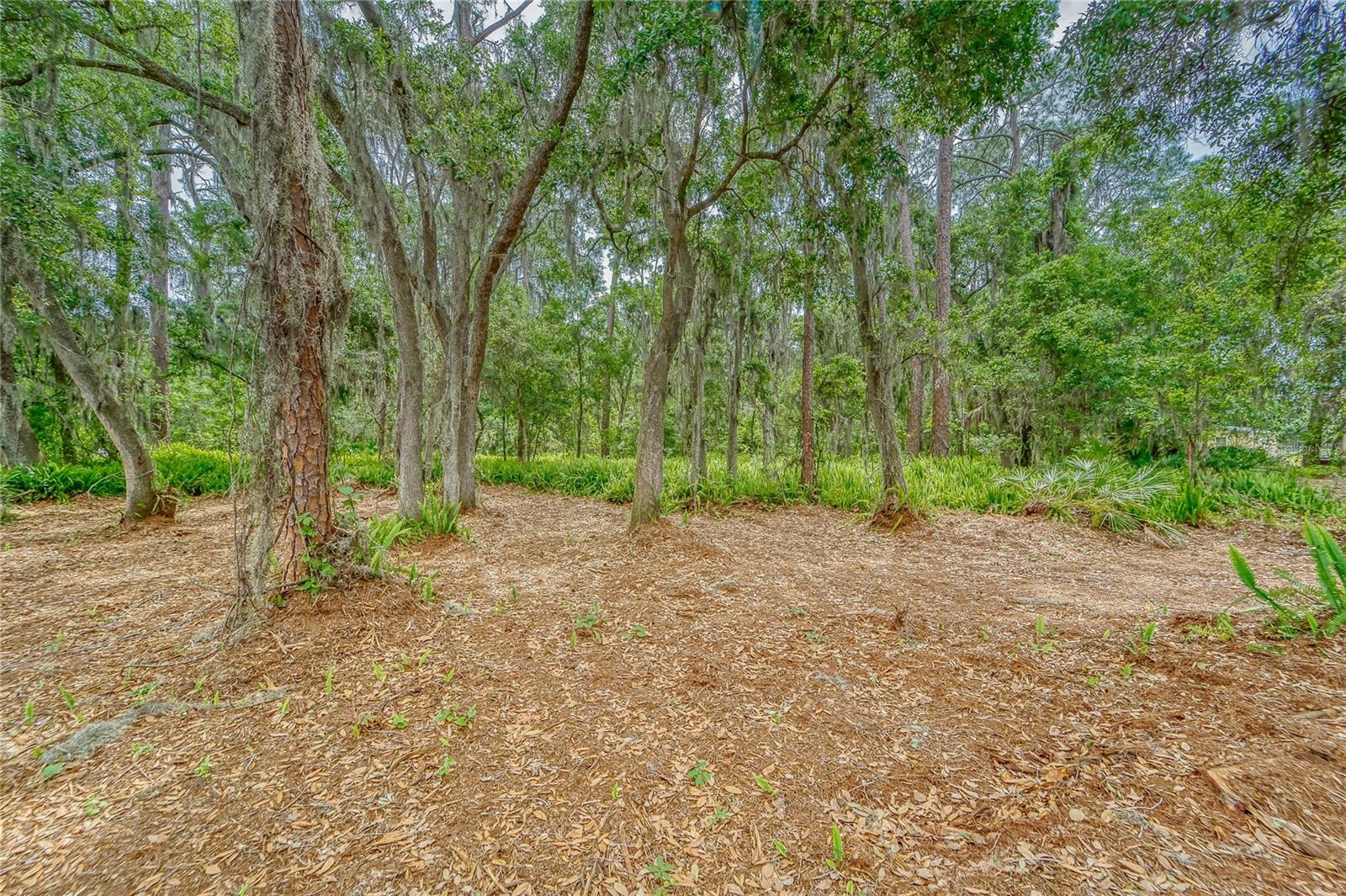 Turkey Creek Property Photo 24