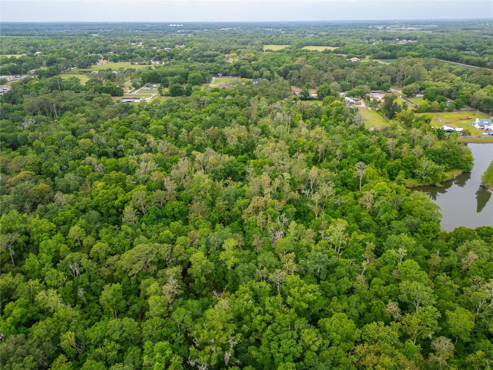 Turkey Creek Property Photo 27