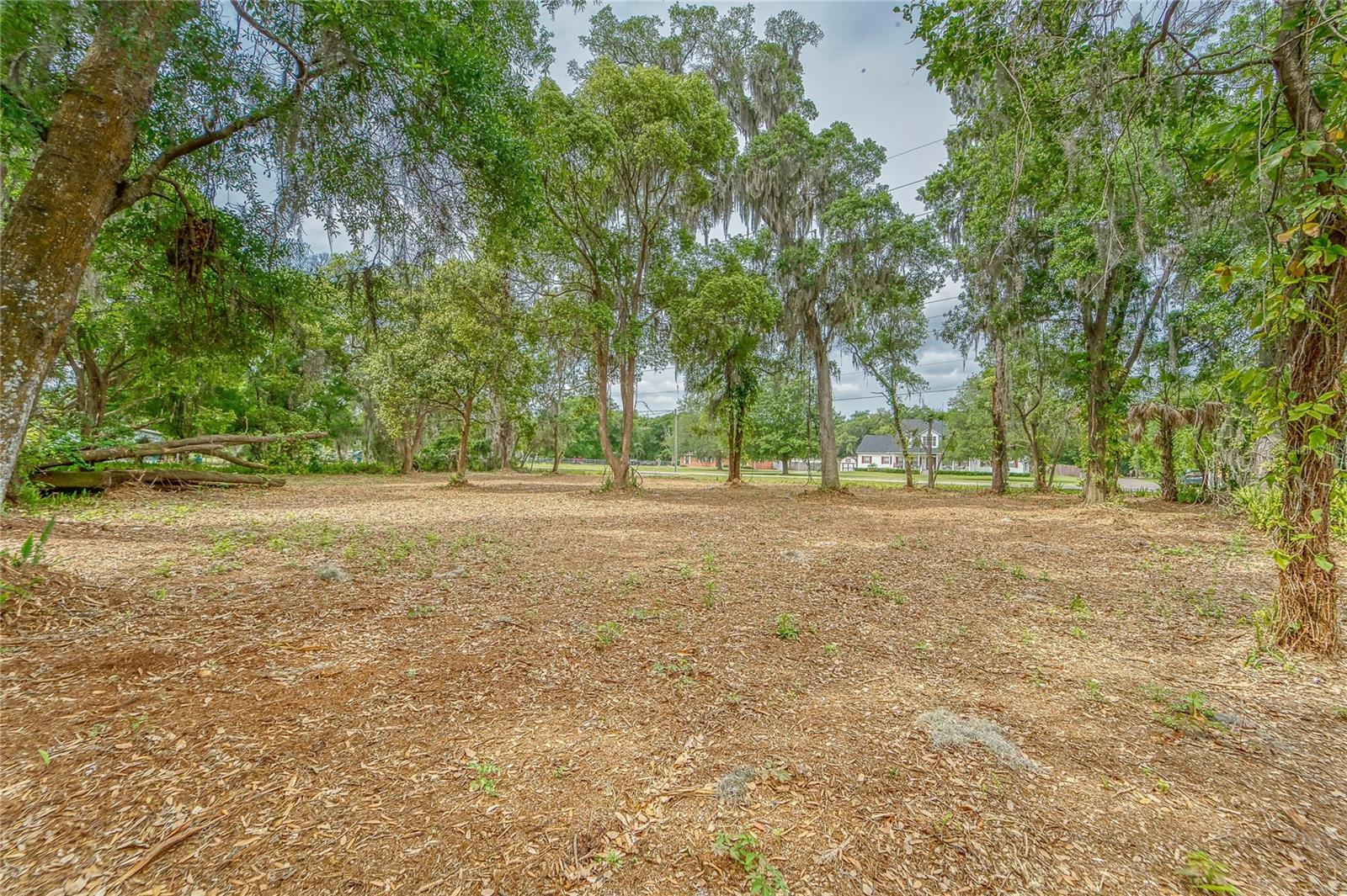 Turkey Creek Property Photo 29