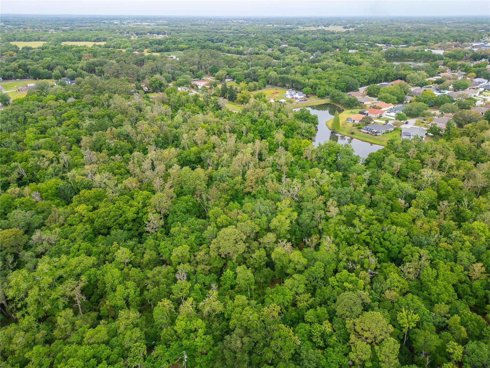 Turkey Creek Property Photo 30