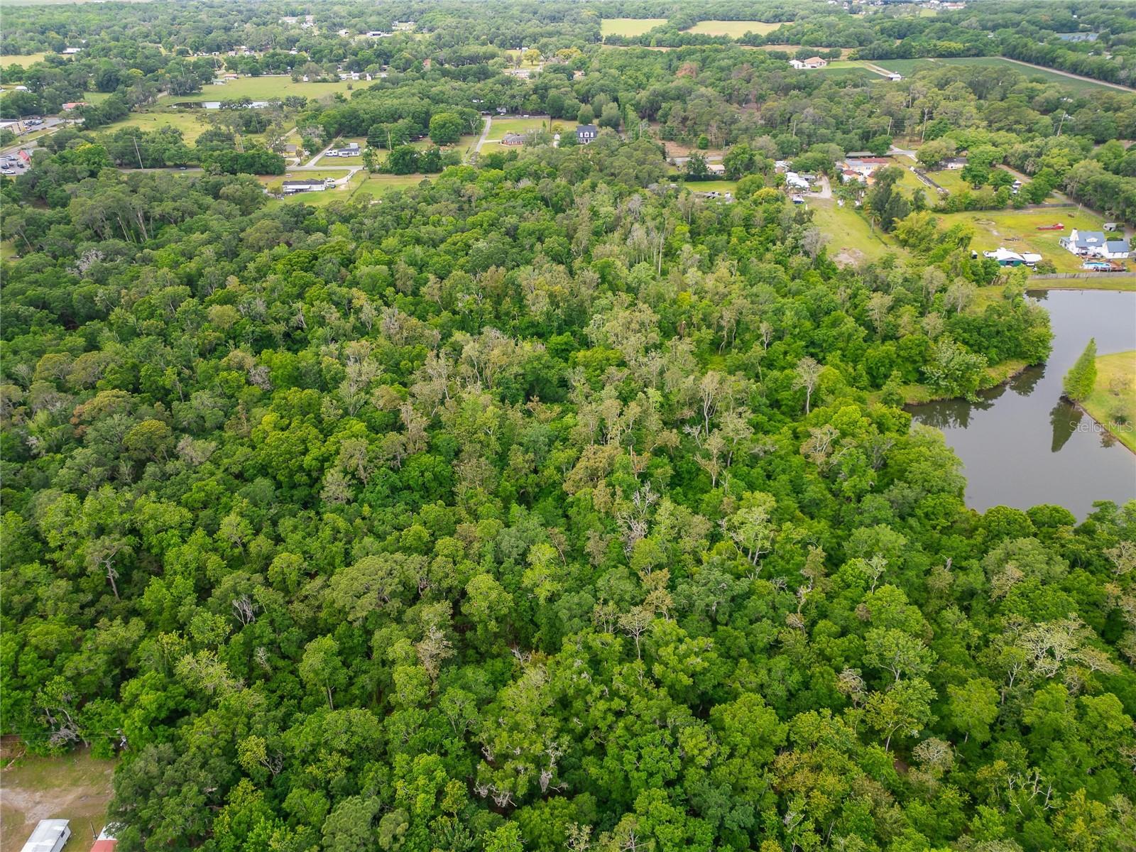 Turkey Creek Property Photo 34