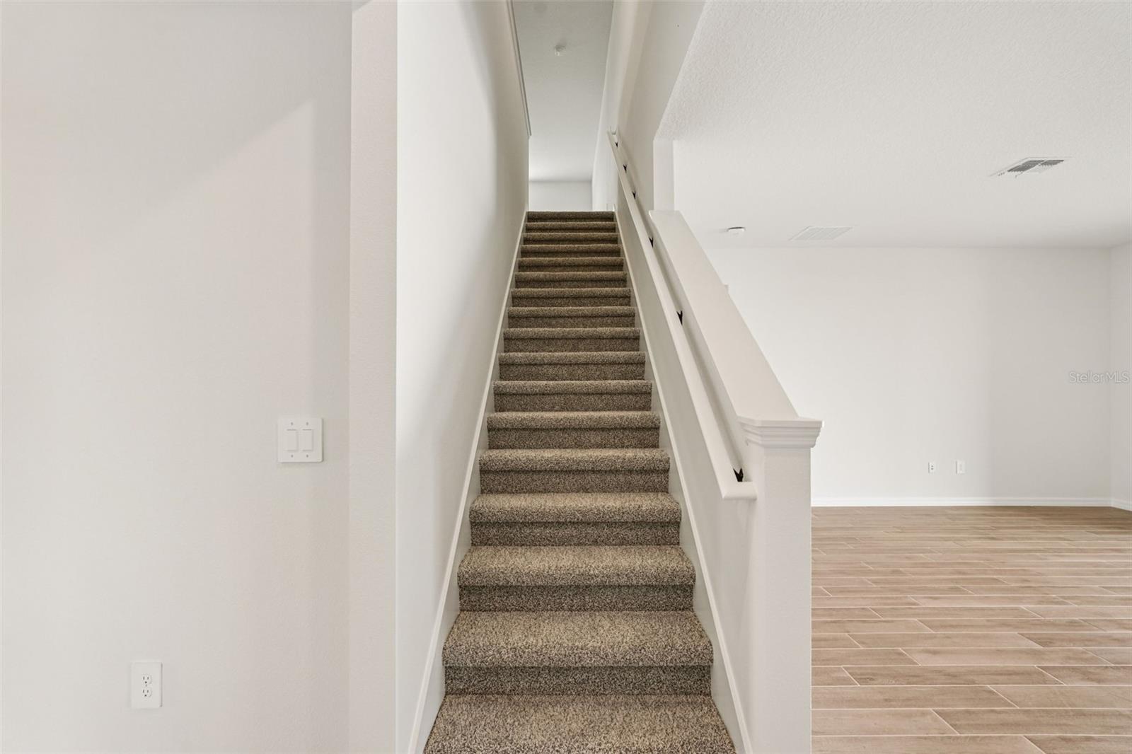 10546 Abundance Grove Way Property Photo 9