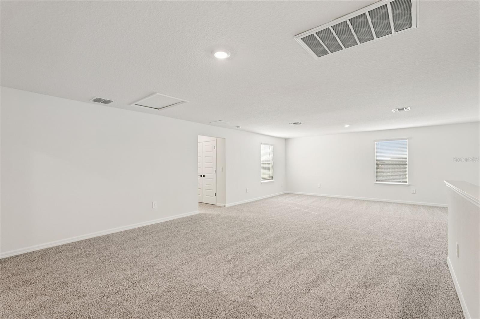 10546 Abundance Grove Way Property Photo 28