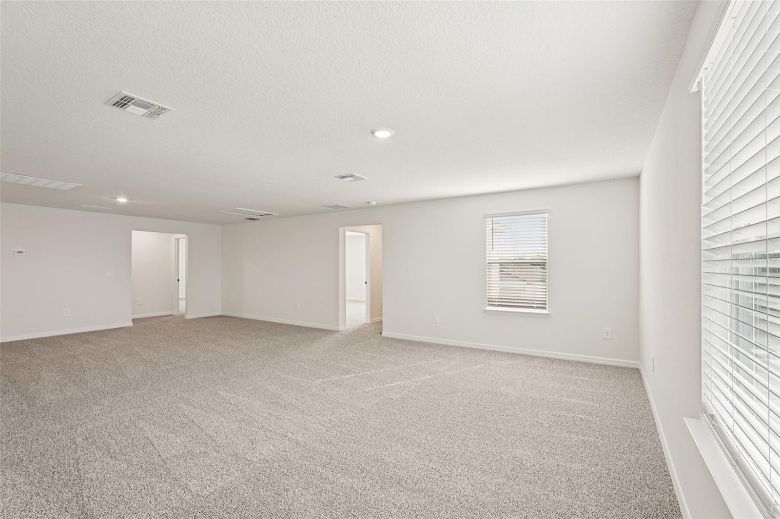 10546 Abundance Grove Way Property Photo 32