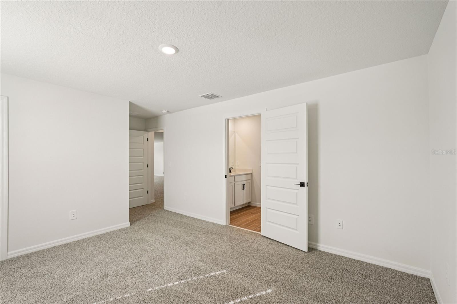 10546 Abundance Grove Way Property Photo 38