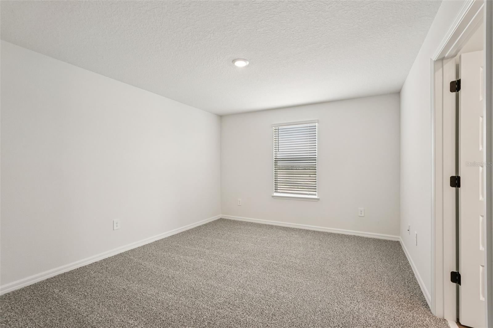 10546 Abundance Grove Way Property Photo 39