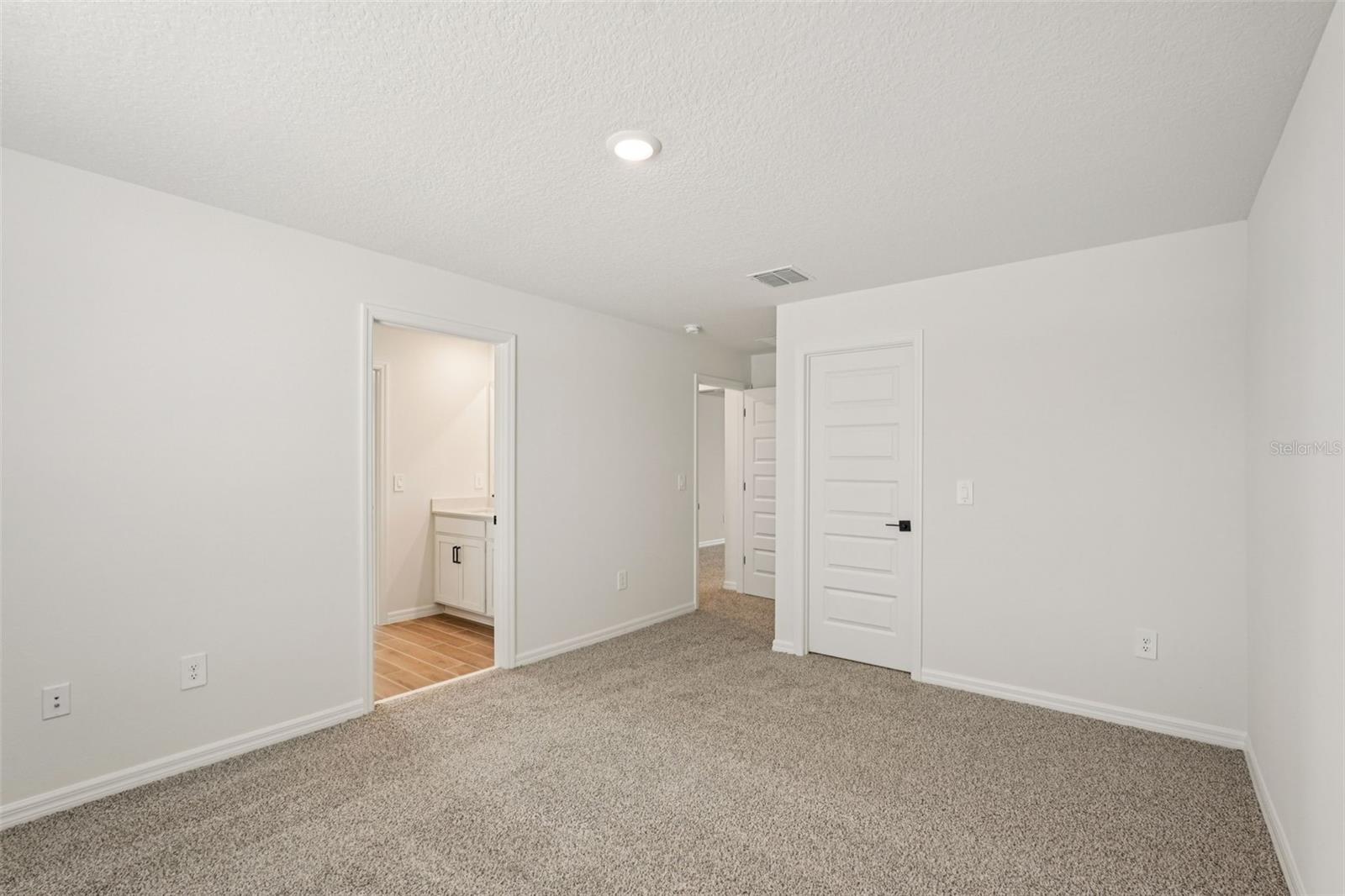 10546 Abundance Grove Way Property Photo 40