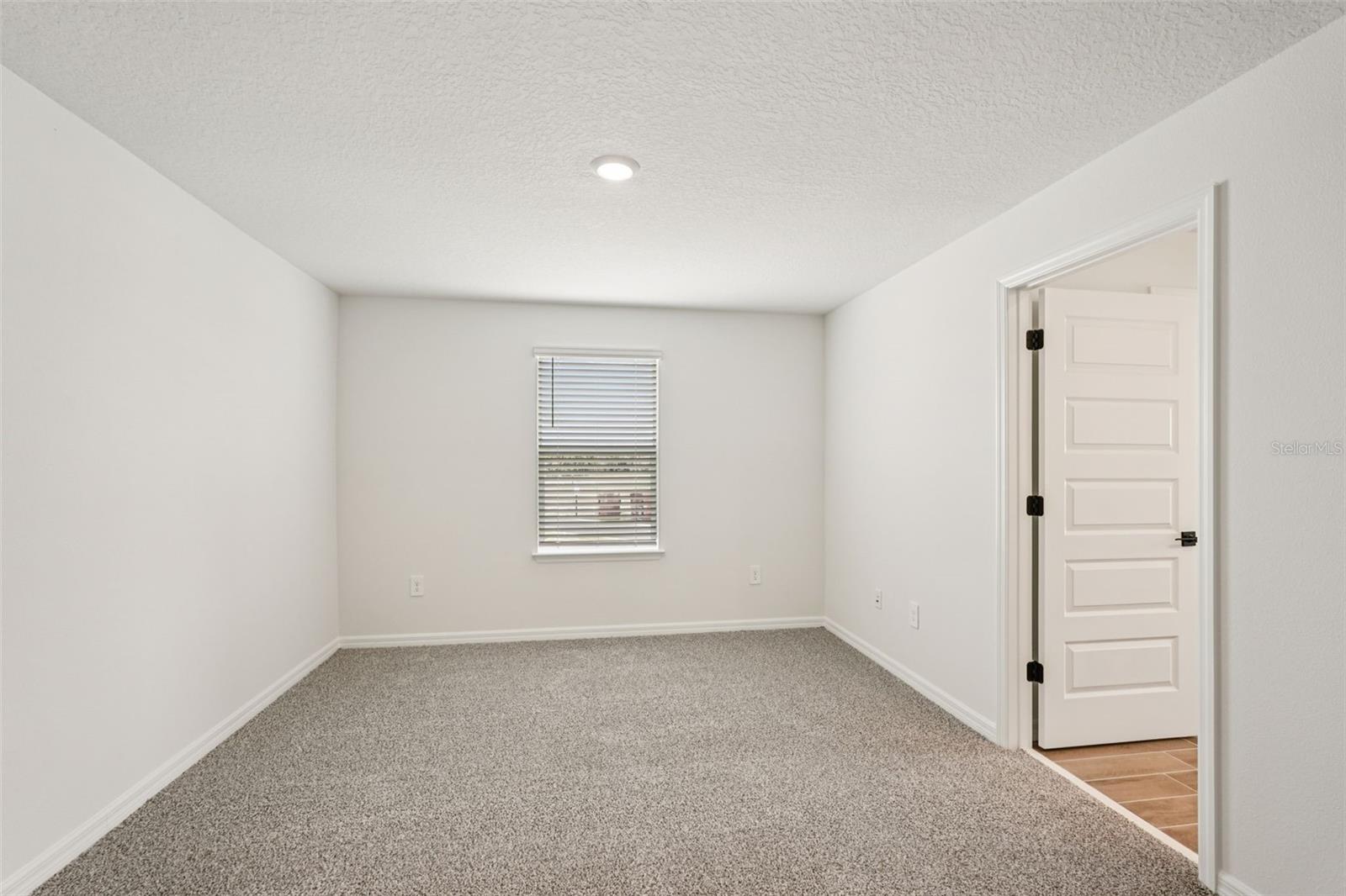 10546 Abundance Grove Way Property Photo 41