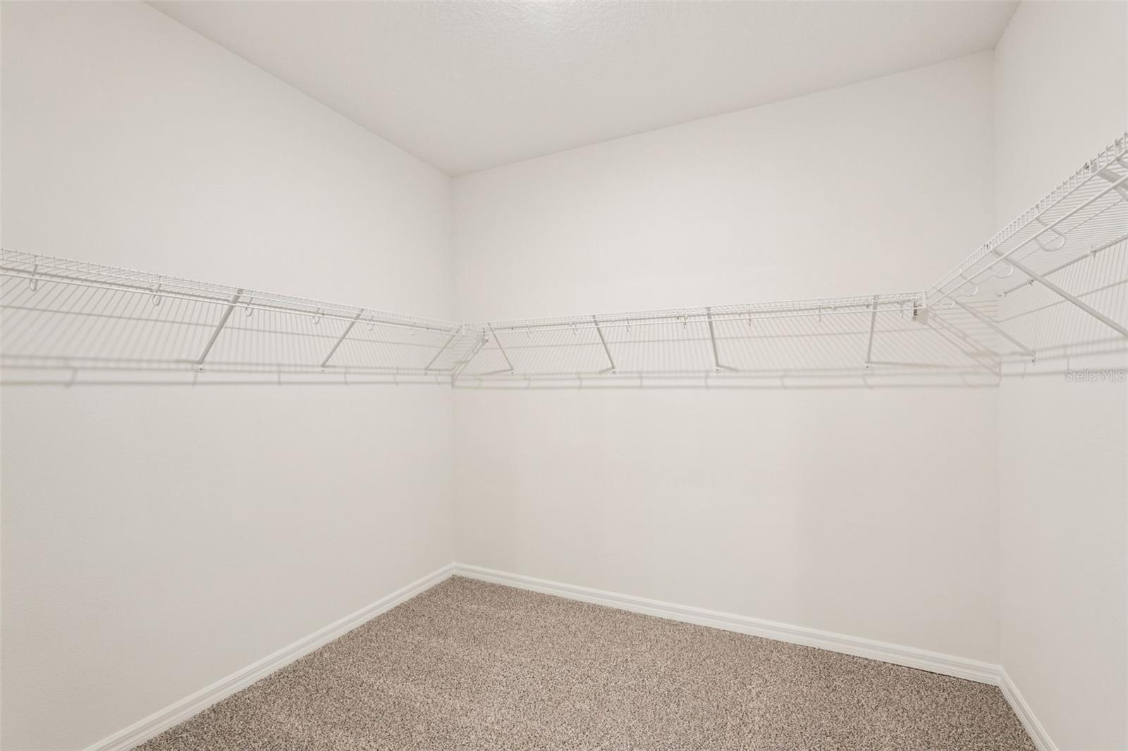 10546 Abundance Grove Way Property Photo 49