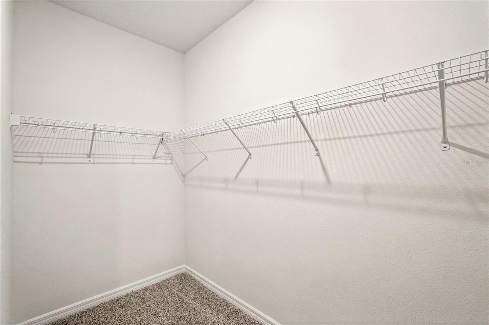 10546 Abundance Grove Way Property Photo 50