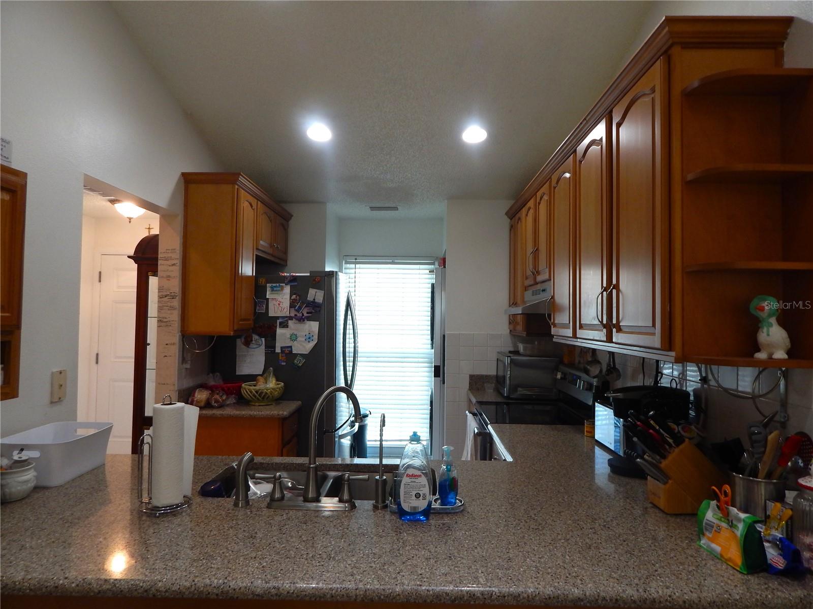 16221 Rambling Vine Dr W Property Photo 3