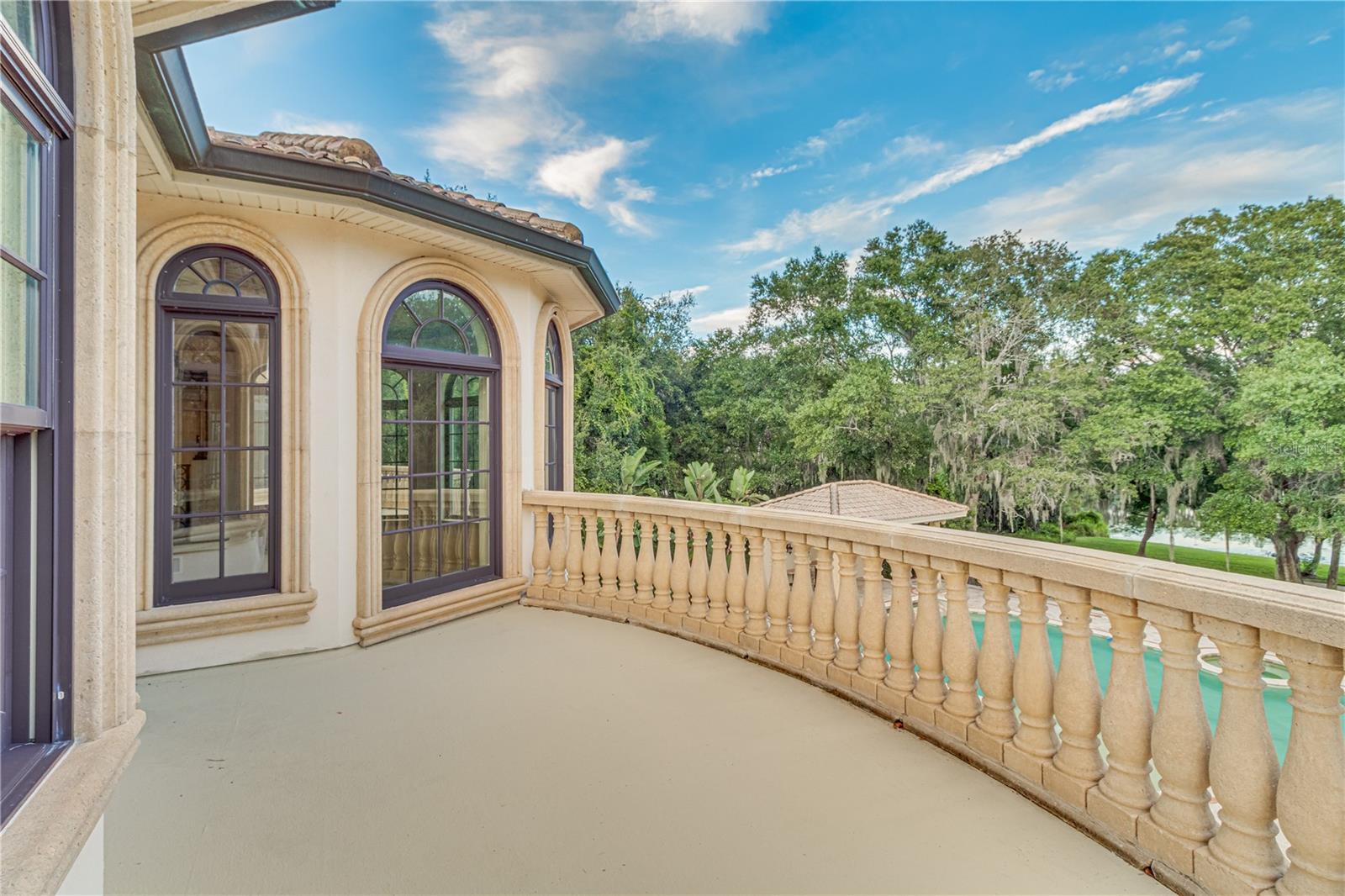 117 Bellamere Palms Ct Property Photo 82