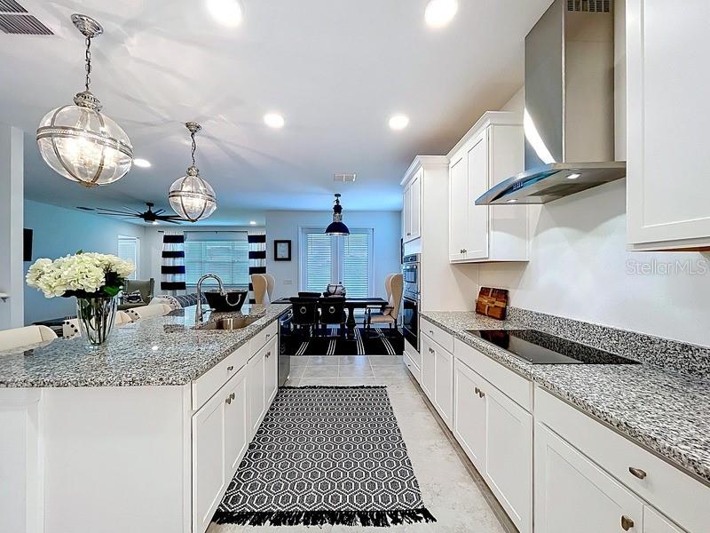 2450 Sunny Pebble Loop Property Photo 10