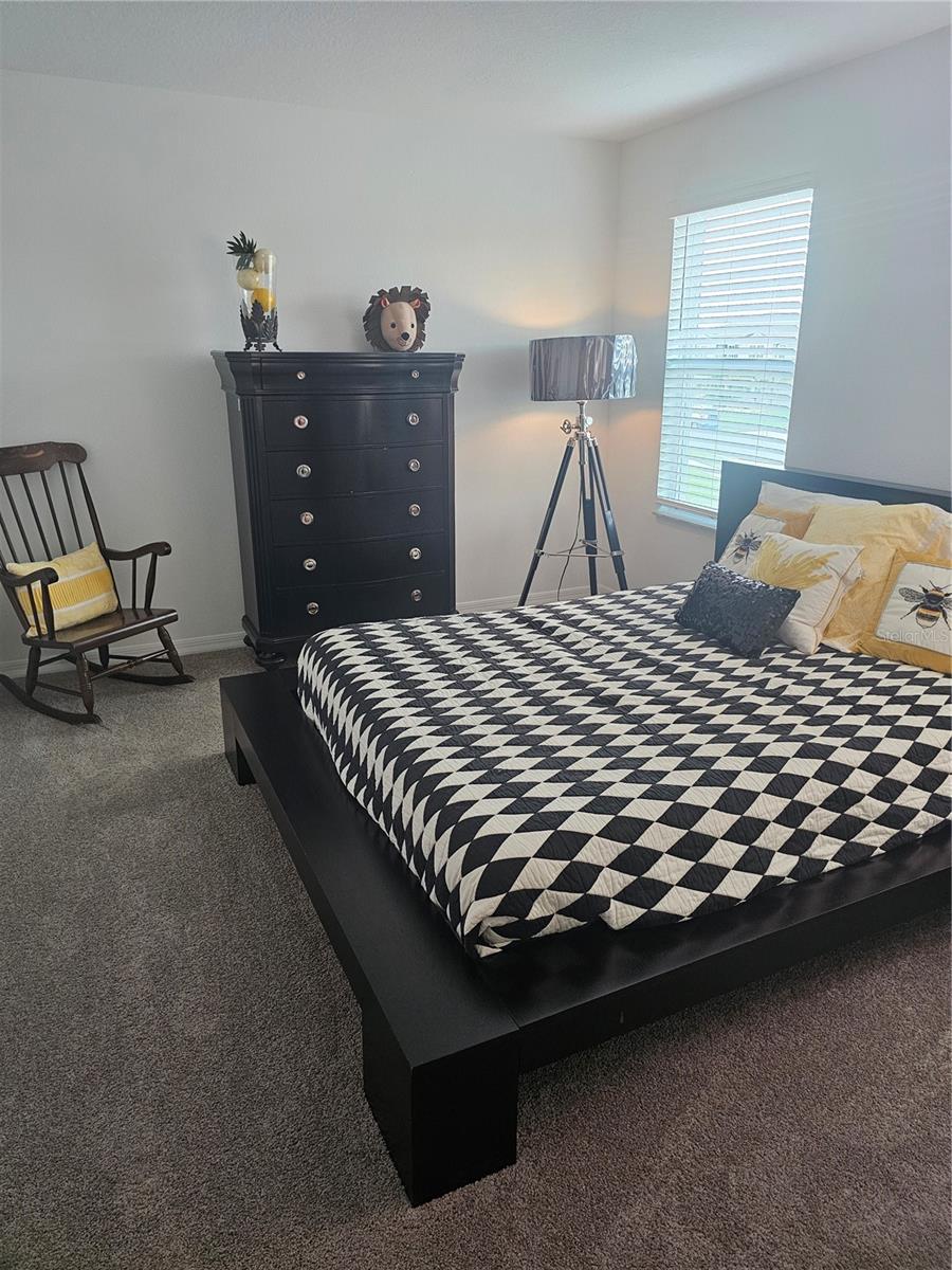 2450 Sunny Pebble Loop Property Photo 34