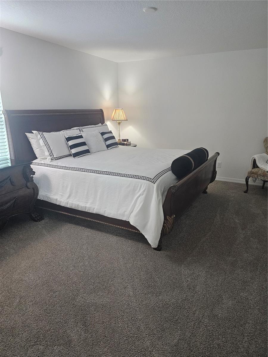 2450 Sunny Pebble Loop Property Photo 36